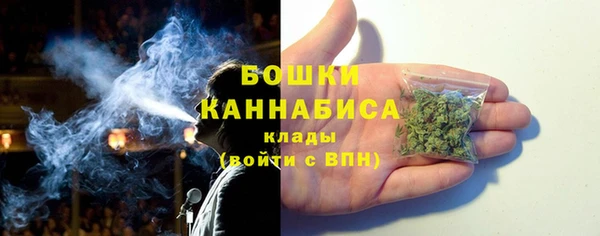 ГАЛЛЮЦИНОГЕННЫЕ ГРИБЫ Абаза