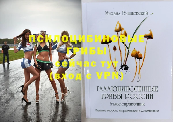 ГАЛЛЮЦИНОГЕННЫЕ ГРИБЫ Абинск