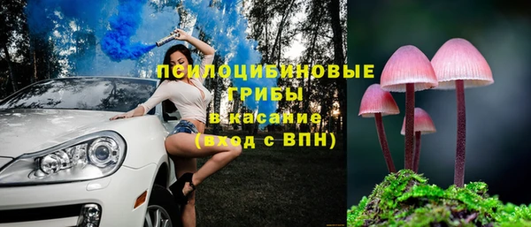 2c-b Алзамай