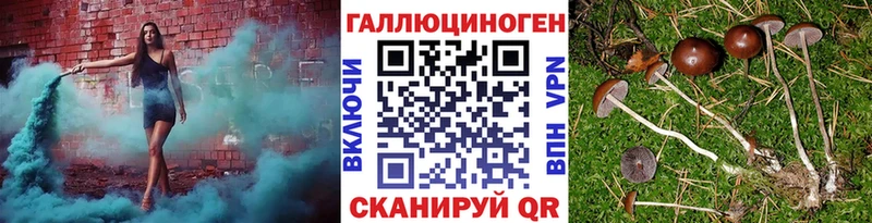 Псилоцибиновые грибы мицелий Среднеколымск